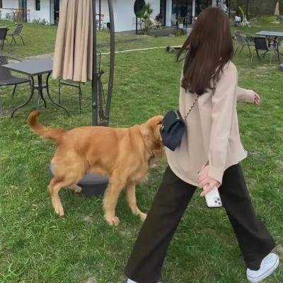 圣诞多美好